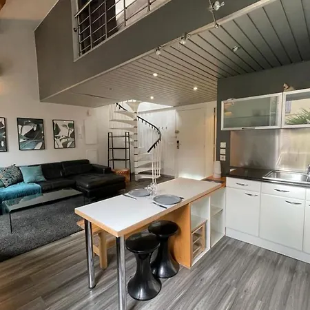 Riouffe 2 Bedroom Duplex In The Center Of 칸느